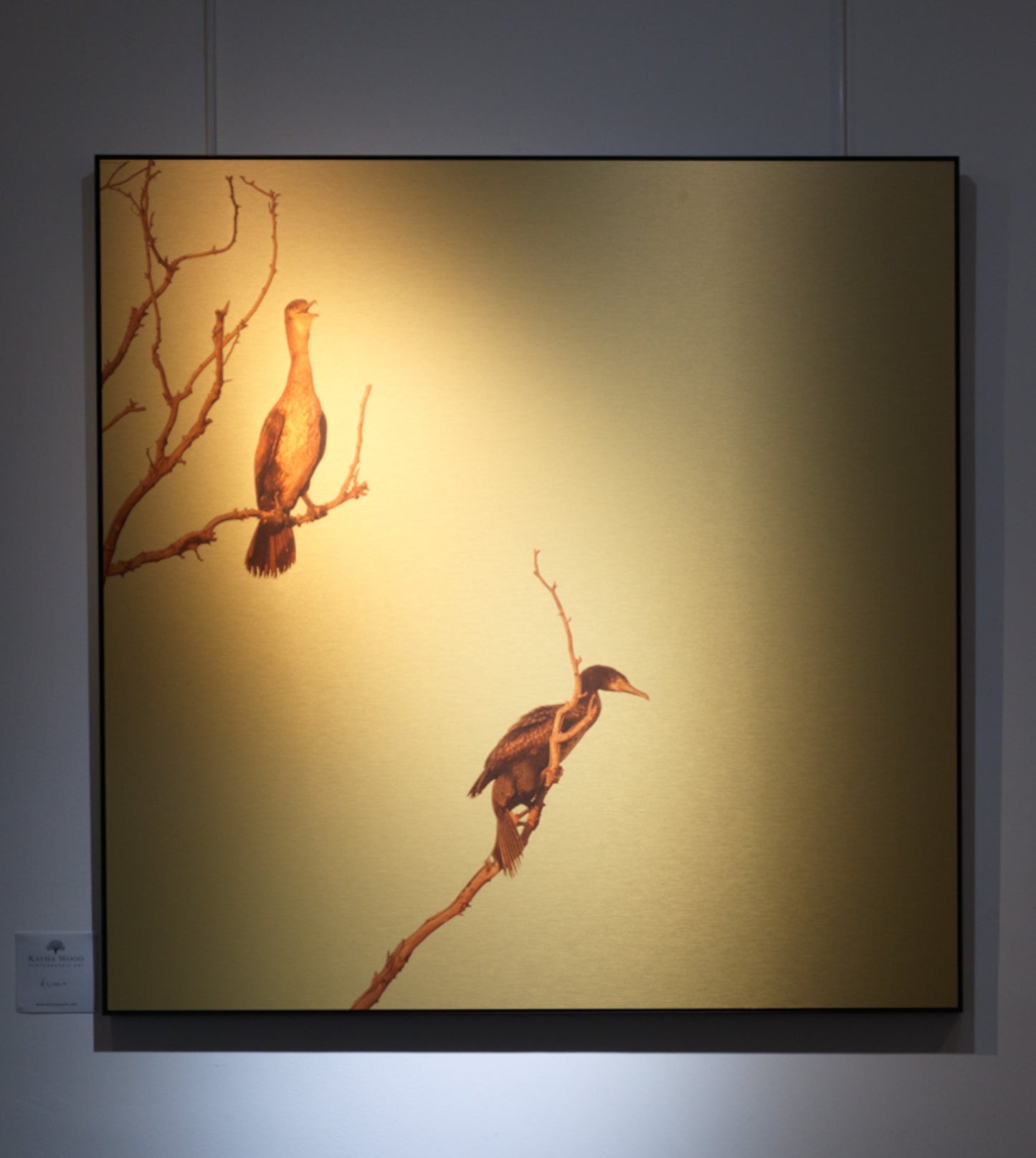 HANGING ON II GOLD RF