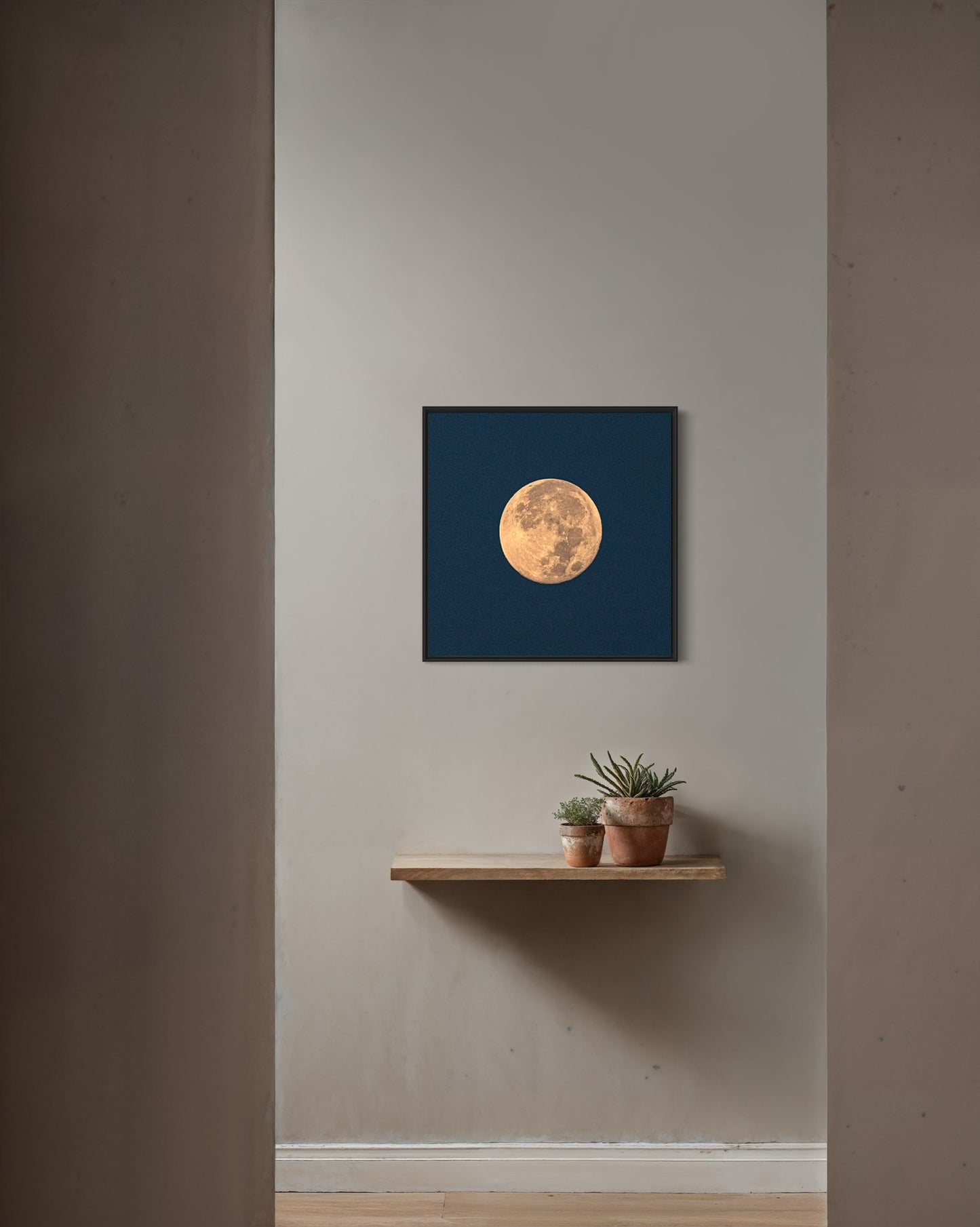 WINTER MOON