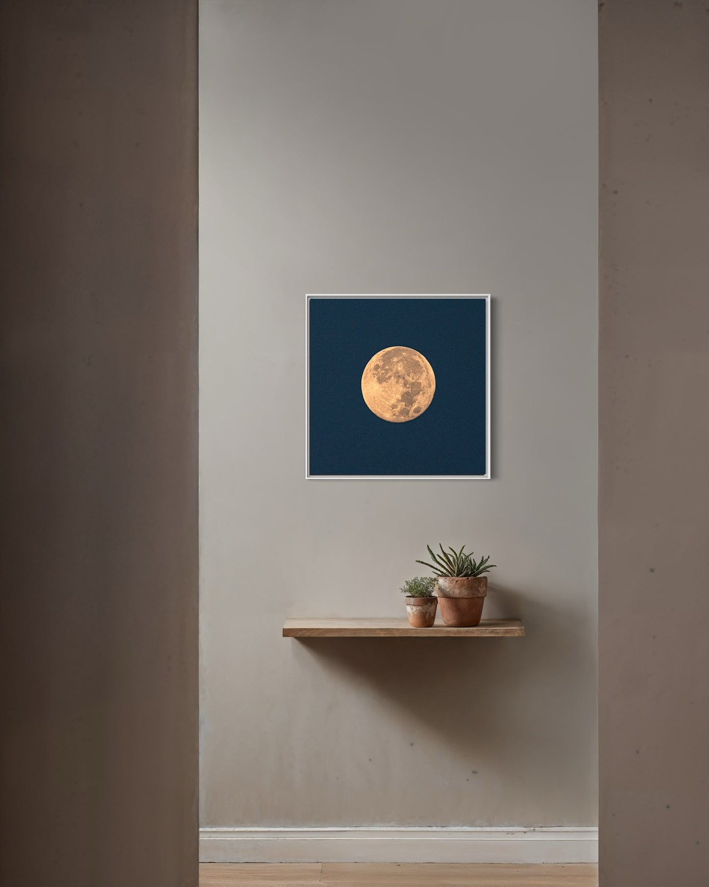 WINTER MOON
