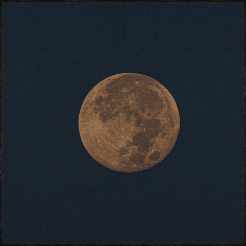 WINTER MOON