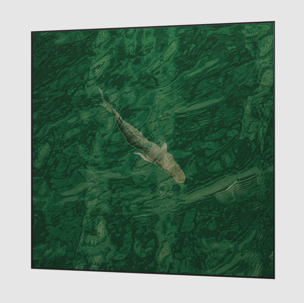 IN DEEP WATER (Right Facing)