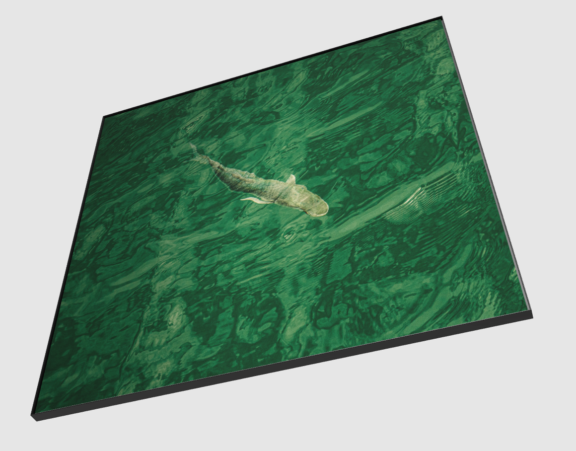 IN DEEP WATER (Right Facing)
