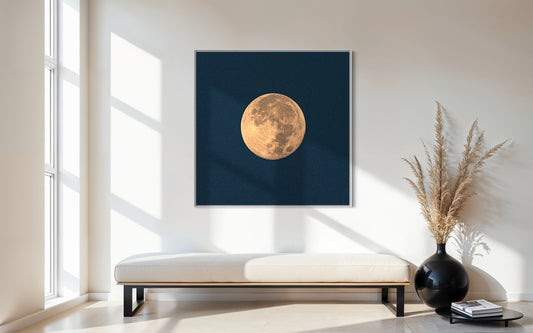 WINTER MOON