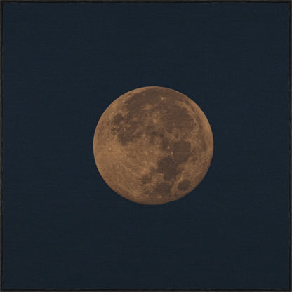 WINTER MOON