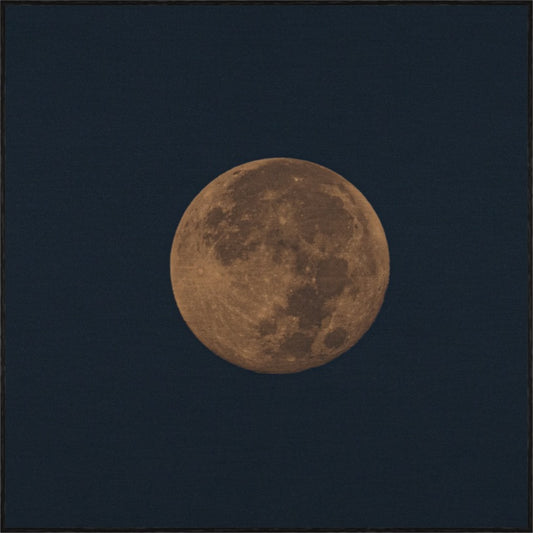 HARVEST MOON