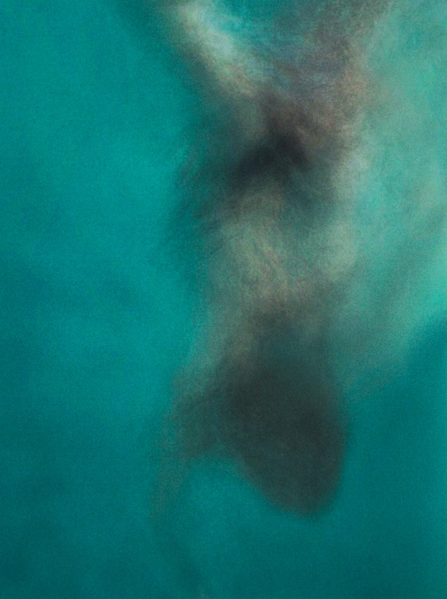 Fine art photograph titled FREEDOM by Katha Wood showing expressive movement and emotional release captured during post lockdown 2020 in Andalucía