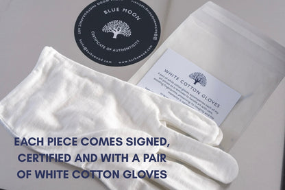 WHEN VENUS MET THE MOON